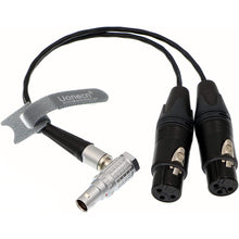 Load image into Gallery viewer, 10 Pin to Dual XLR 3 Pin Female Plug Breakout Cable for Atomos Audio Splitter Cable for Shogun Monitor Recorder 30cm