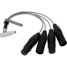 Load image into Gallery viewer, 10 Pin Male Plug to 4 XLR 3 Pin Breakout Audio Input Output Cable for Atomos Shogun Monitor Recorder Audio Splitter 30cm
