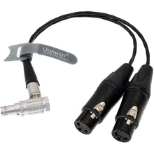 Load image into Gallery viewer, 10 Pin to Dual XLR 3 Pin Female Plug Breakout Cable for Atomos Audio Splitter Cable for Shogun Monitor Recorder 30cm