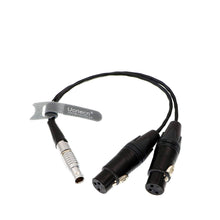 Load image into Gallery viewer, 10 Pin to Dual XLR 3 Pin Female Plug Breakout Cable for Atomos Audio Splitter Cable for Shogun Monitor Recorder 30cm