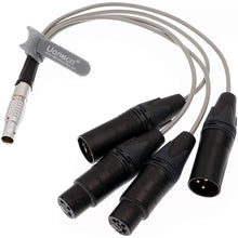 Load image into Gallery viewer, 10 Pin Male Plug to 4 XLR 3 Pin Breakout Audio Input Output Cable for Atomos Shogun Monitor Recorder Audio Splitter 30cm