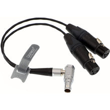 Load image into Gallery viewer, 10 Pin to Dual XLR 3 Pin Female Plug Breakout Cable for Atomos Audio Splitter Cable for Shogun Monitor Recorder 30cm