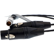 Load image into Gallery viewer, 10 Pin to Dual XLR 3 Pin Female Plug Breakout Cable for Atomos Audio Splitter Cable for Shogun Monitor Recorder 30cm