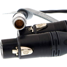 Load image into Gallery viewer, 10 Pin to Dual XLR 3 Pin Female Plug Breakout Cable for Atomos Audio Splitter Cable for Shogun Monitor Recorder 30cm