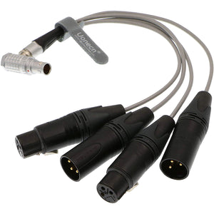 10 Pin Male Plug to 4 XLR 3 Pin Breakout Audio Input Output Cable
