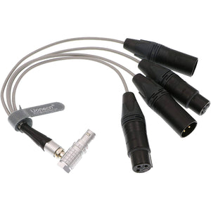 10 Pin Male Plug to 4 XLR 3 Pin Breakout Audio Input Output Cable for Atomos Shogun Monitor Recorder Audio Splitter 30cm